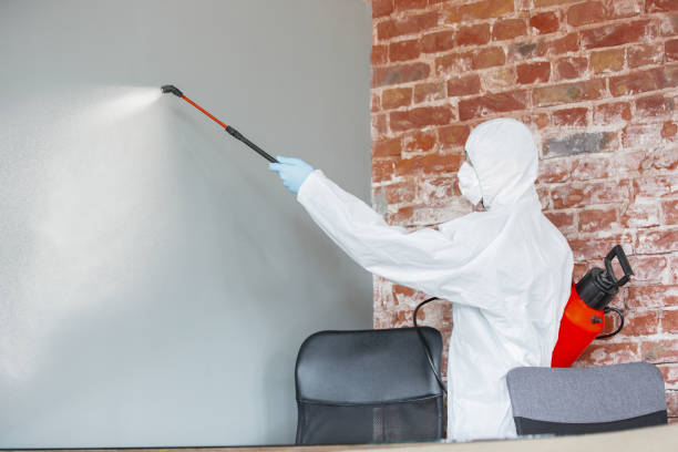Best Forensic Mold Investigation  in Jennings Lodge, OR